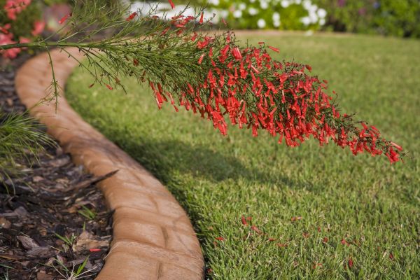 Brick Edging in Lancaster